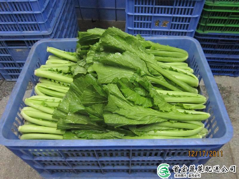 东莞生鲜蔬菜