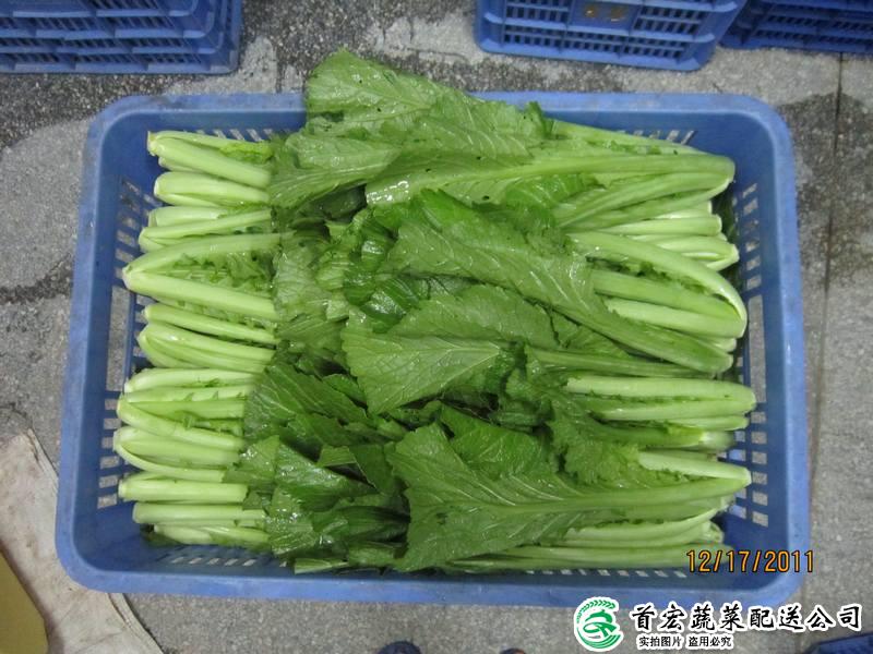 东莞蔬菜 配送