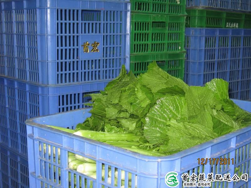 东莞蔬菜配送