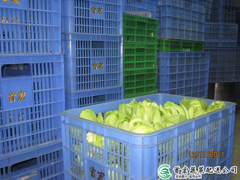 东莞生鲜蔬菜配送中心