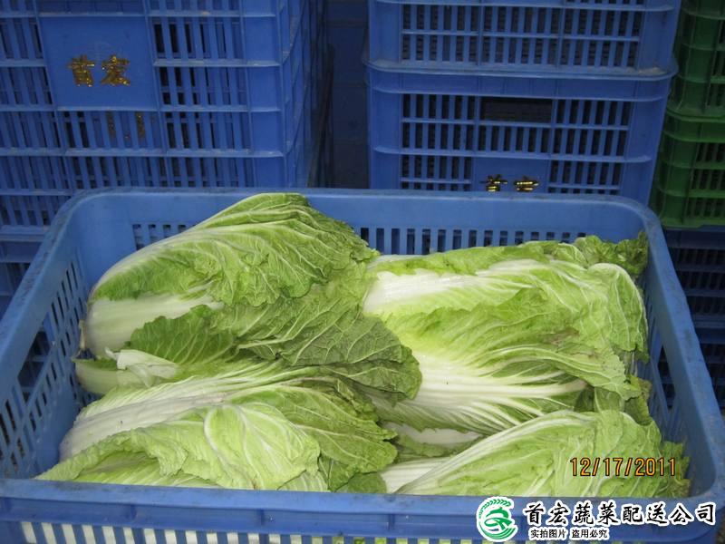 东莞半成品菜配送