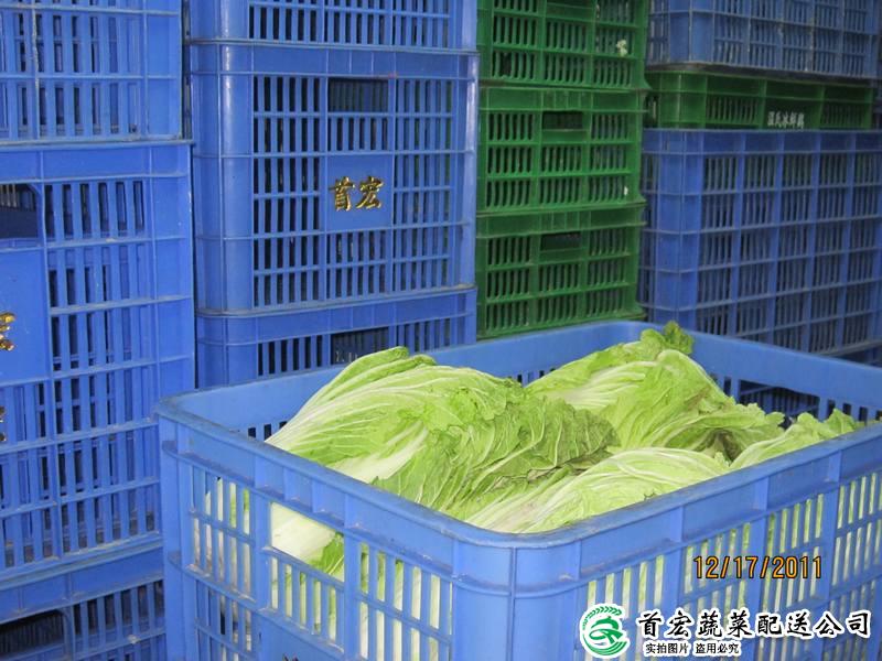 东莞食品配送