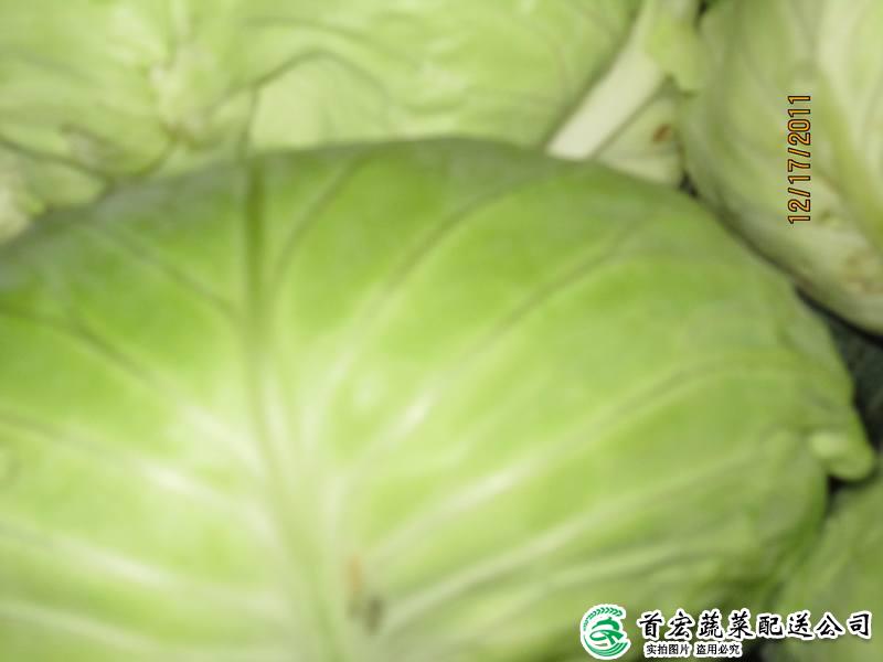 东莞批发蔬菜