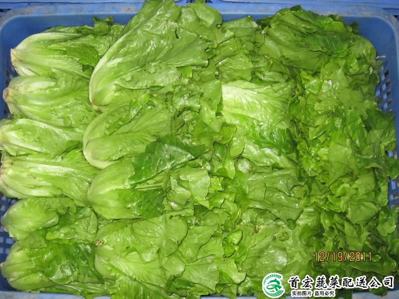 东莞蔬菜水果配送