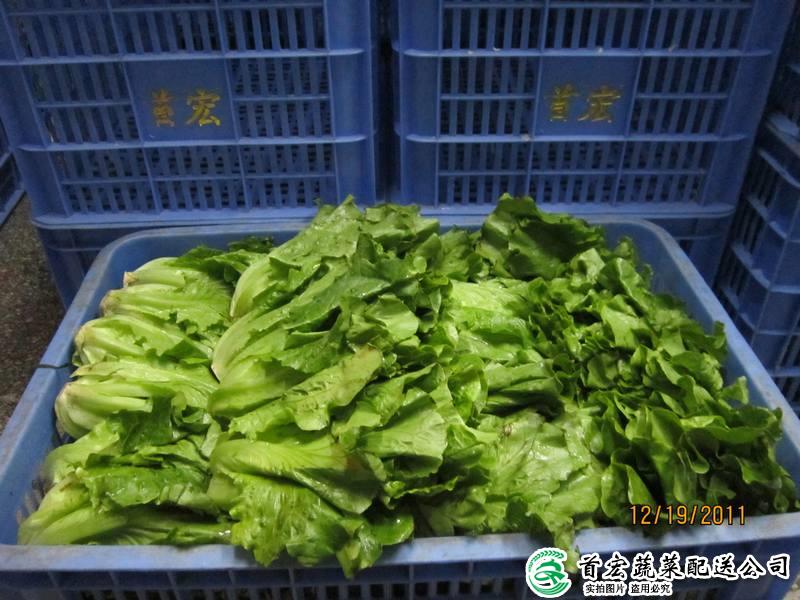 东莞农产品批发