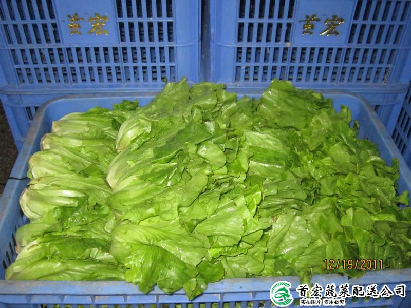 东莞蔬菜公司