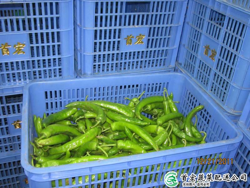 东莞配送蔬菜公司