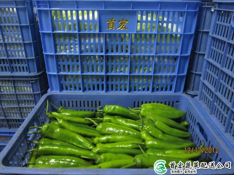 东莞蔬菜价格表今日蔬菜