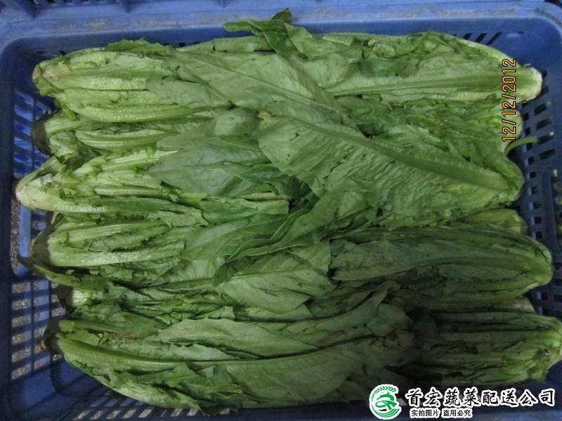 东莞蔬菜批发配送