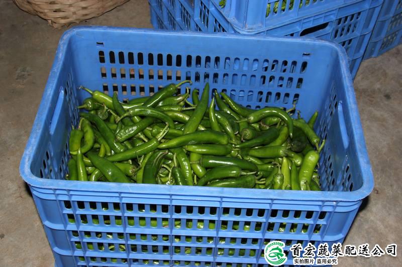 东莞半成品食材配送