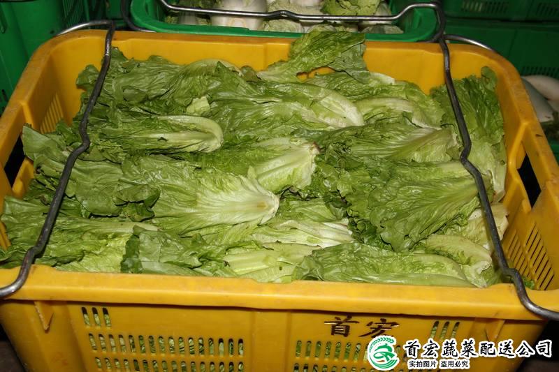 东莞蔬菜公司
