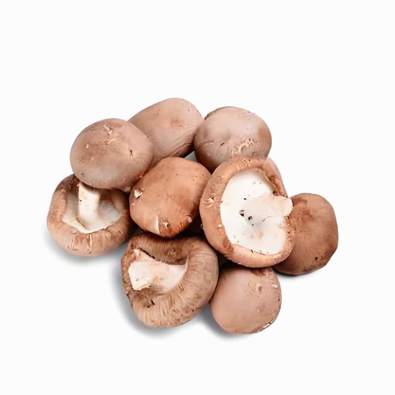 桥头镇食堂有机蔬菜配送