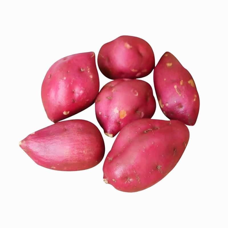 抖音蔬菜配送代理