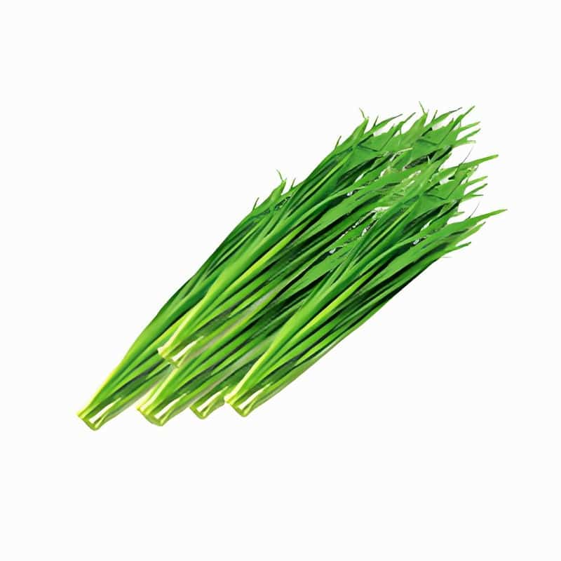 附近蔬菜配送准时准点