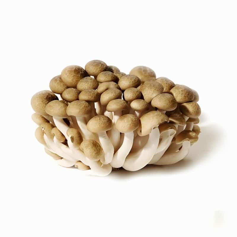 黄石有机蔬菜配送商家