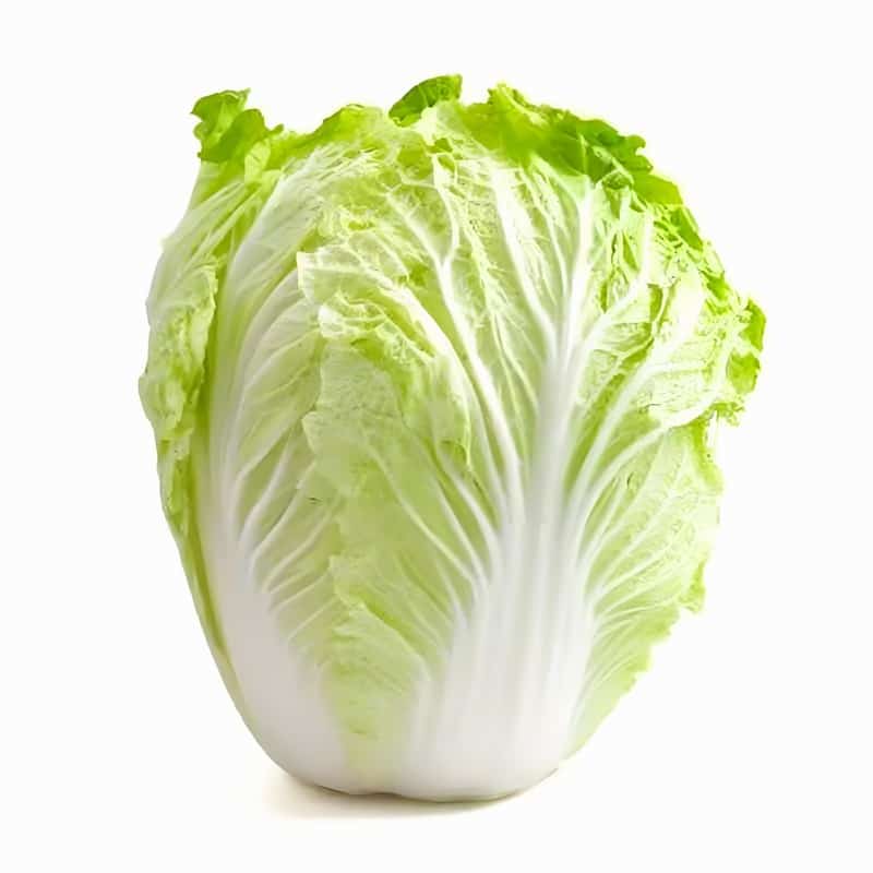 城口县蔬菜配送美味新鲜