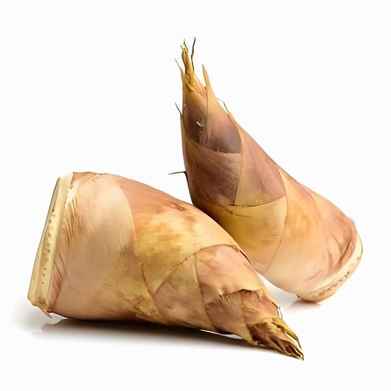 云龙有机蔬菜配送公司