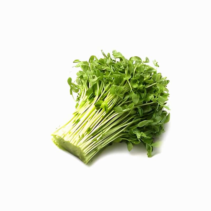 红河校园蔬菜配送方案