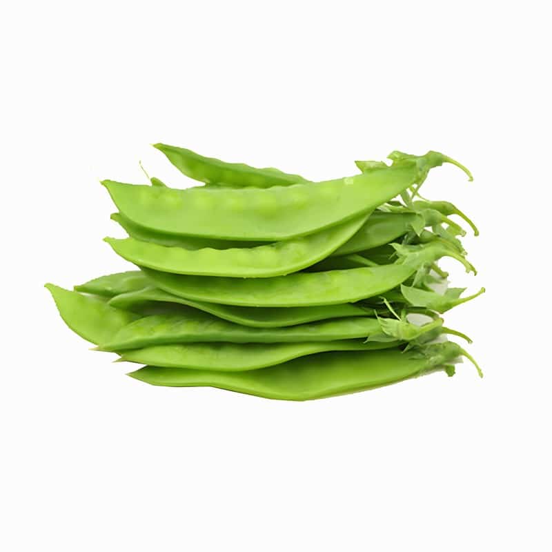 嘉兴蔬菜配送采购公司