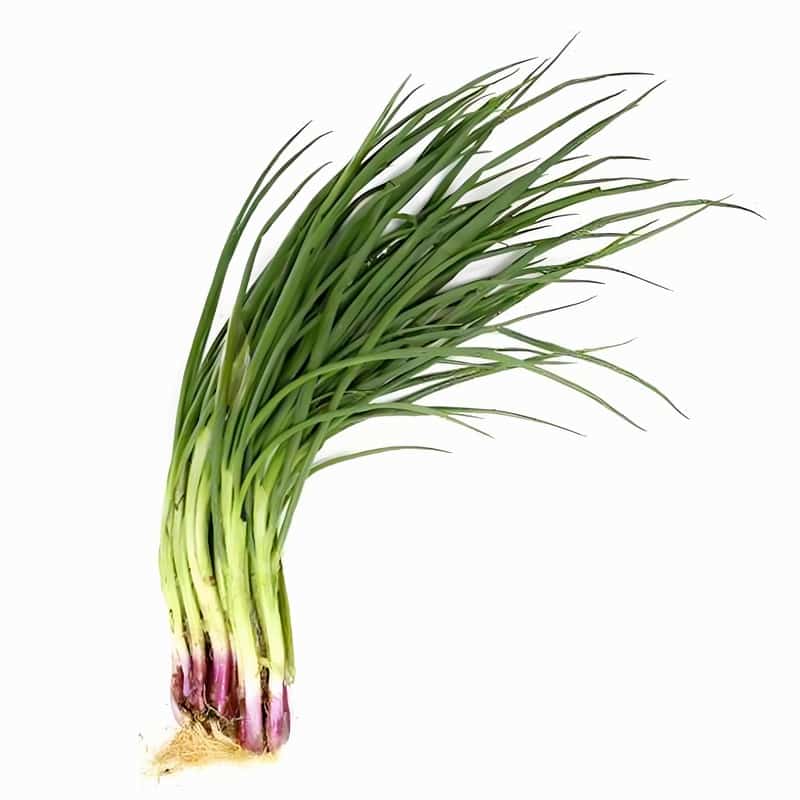 澜沧蔬菜配送平台招聘