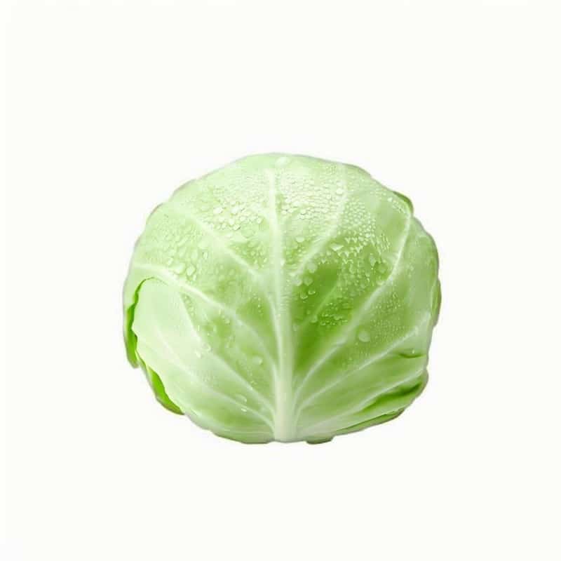 江夏武汉蔬菜配送点