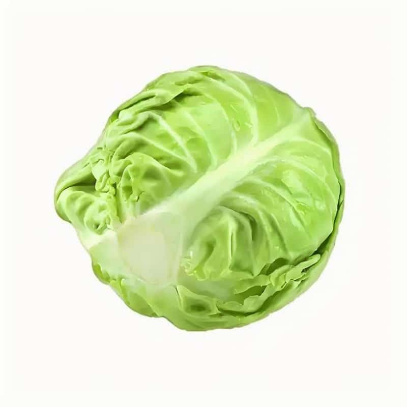 昆明蔬菜配送员工资