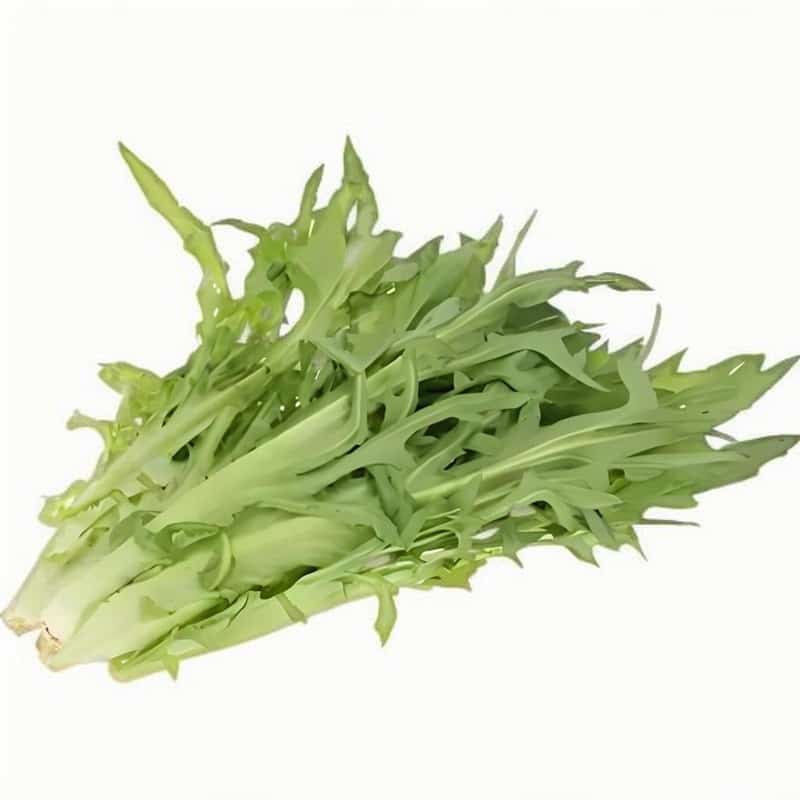 上海蔬菜配送方案公司