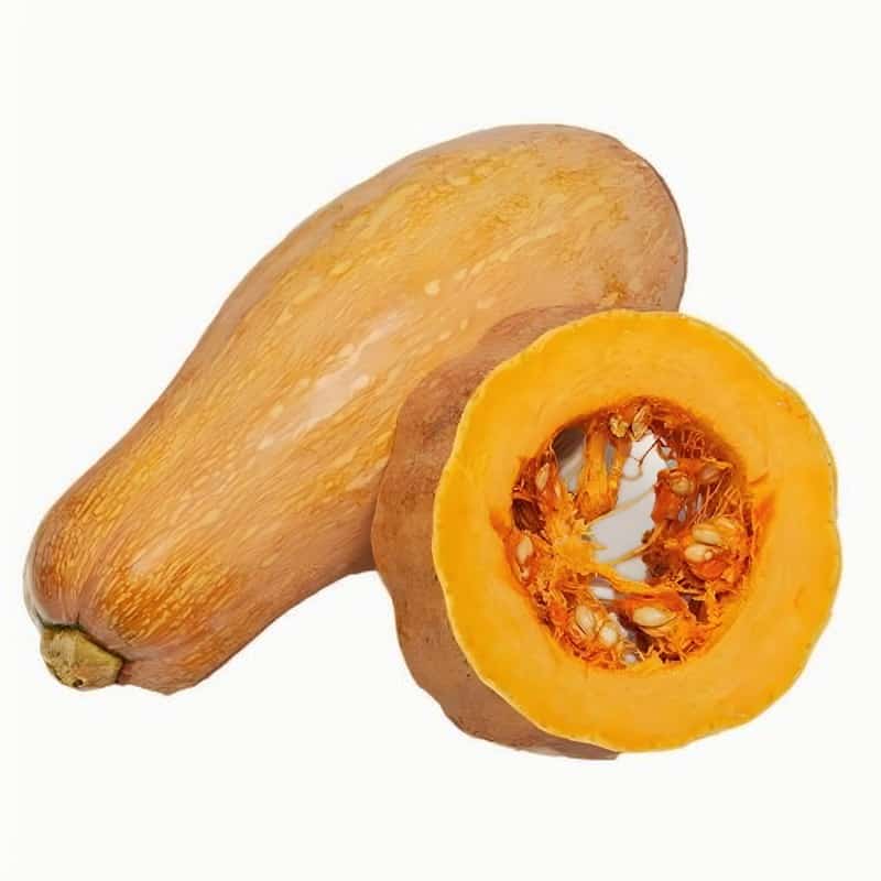 绿色有机蔬菜配送文案