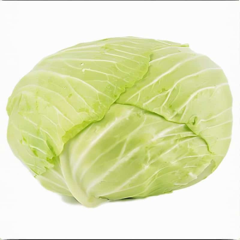 永城谁家配送蔬菜好送点价格实惠配送快